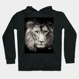 The Mighty King Hoodie